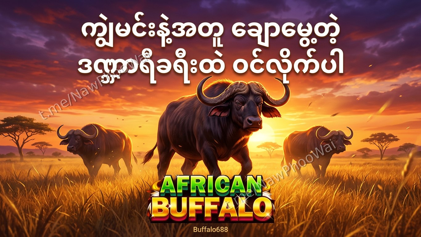 ⏰ ကျွဲဂိမ်း - နော်ဖူးဝေ 24 နာရီဝန်ဆောင်မှု
