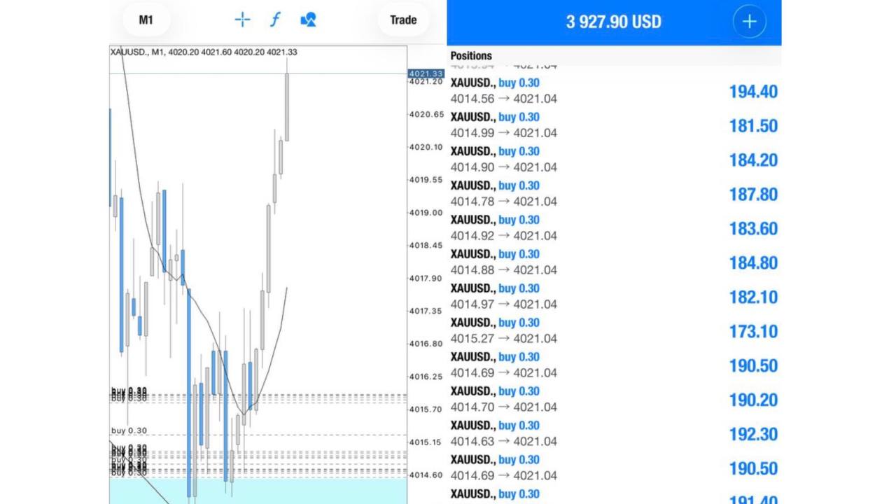 King Punya ORDERFLOW