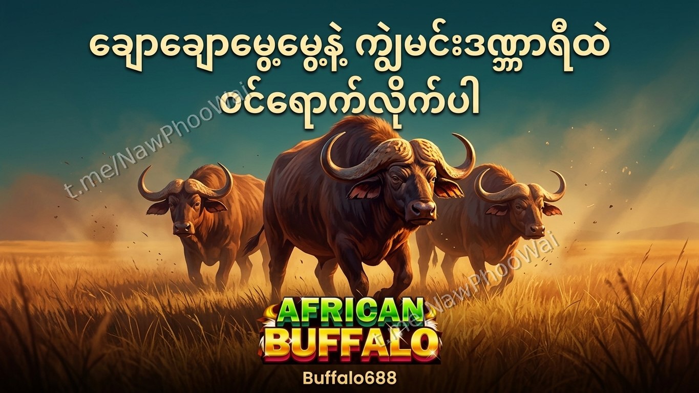 ⏰ ကျွဲဂိမ်း - နော်ဖူးဝေ 24 နာရီဝန်ဆောင်မှု