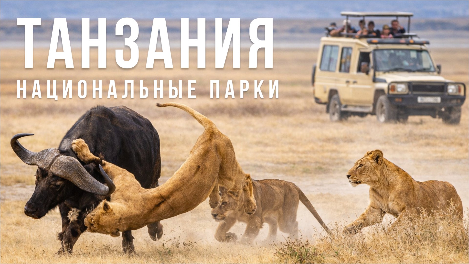 Сафари в Африке с Сафари-Занзибари | Кения | Танзания | ЮАР