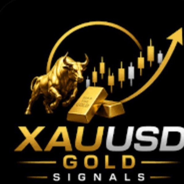 @tradewithforexking571