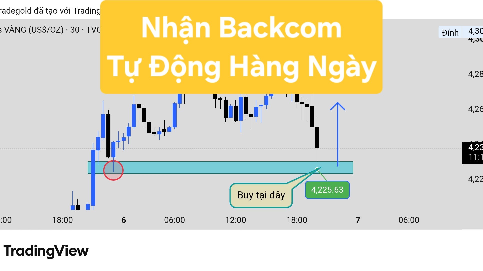 ALY TRADE GOLD