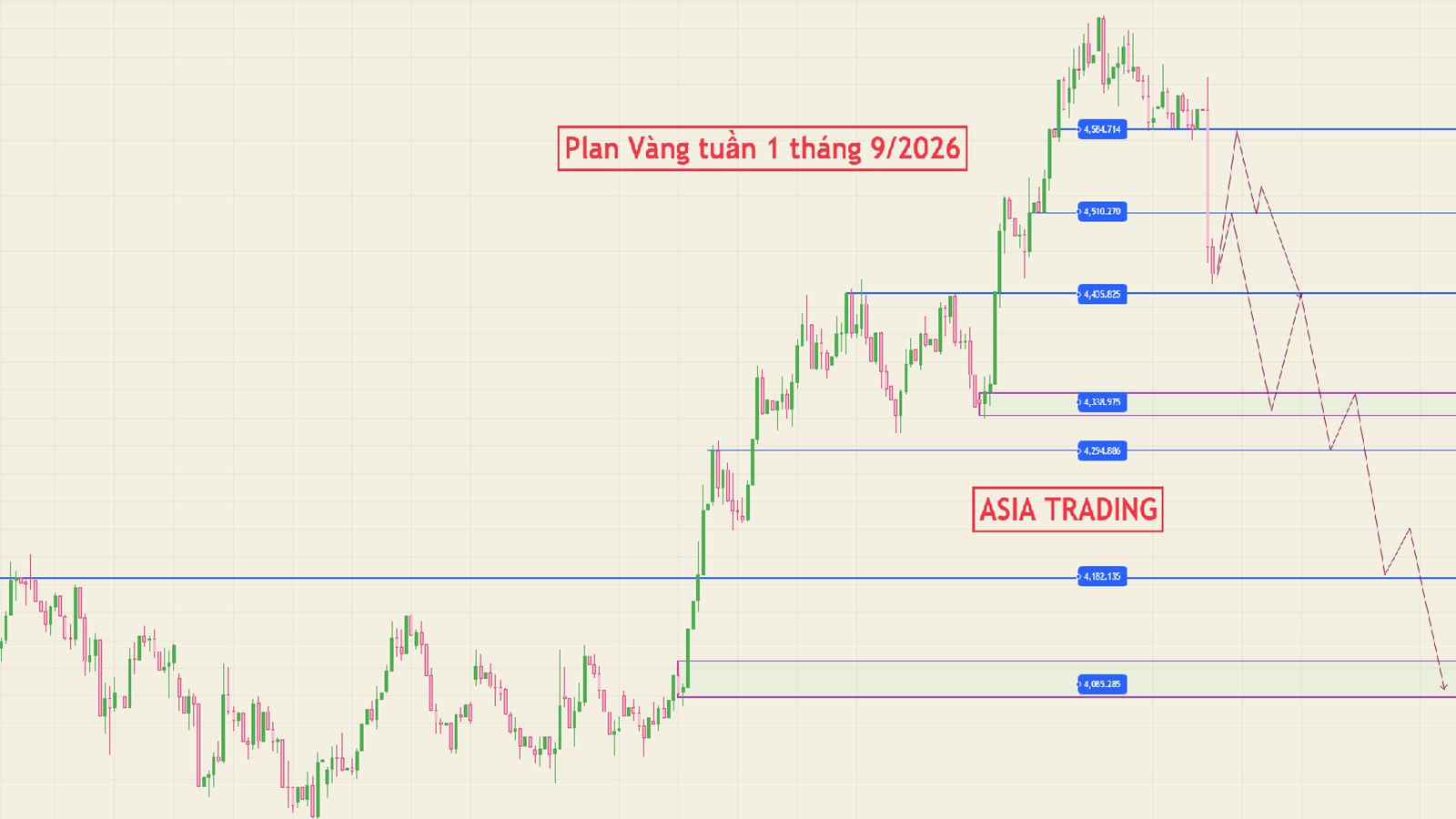 ASIA TRADING - Forex-Gold🇻🇳