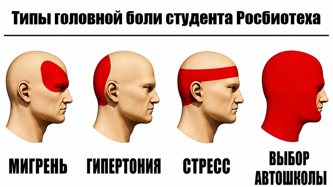 Автошкола для студентов РОСБИОТЕХ