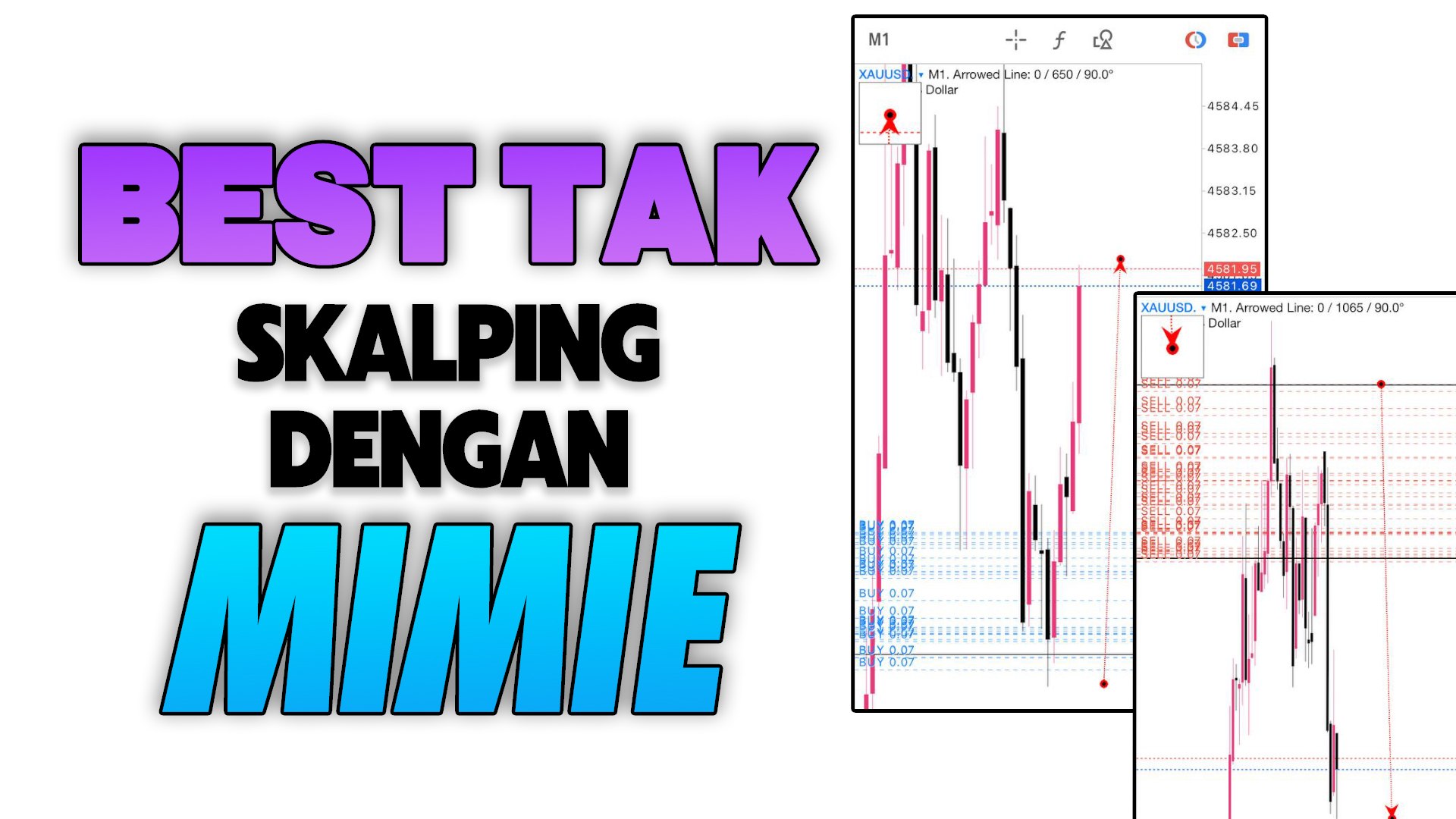 MIMIE SCALPING DERHAKA