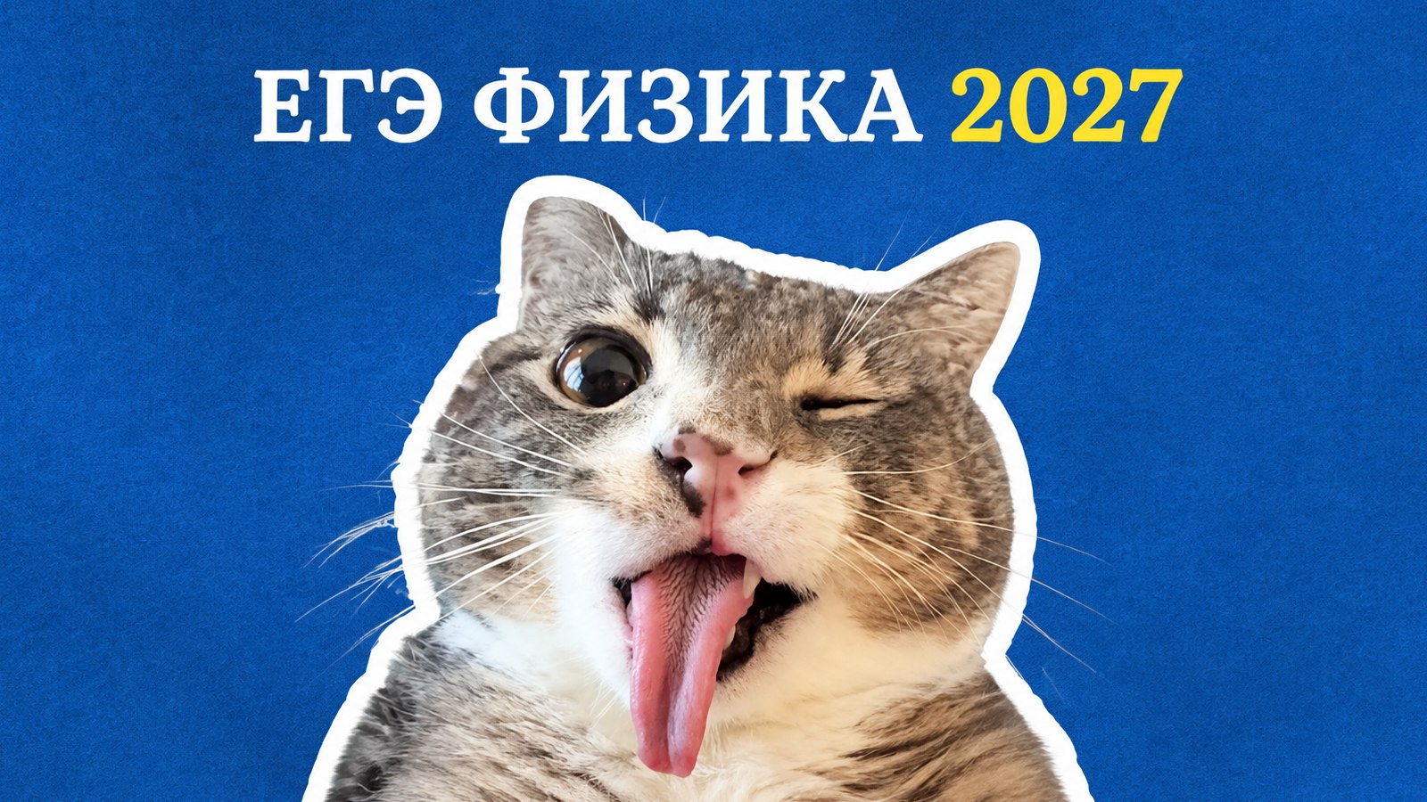 Саня Эбонит | Физика ЕГЭ
