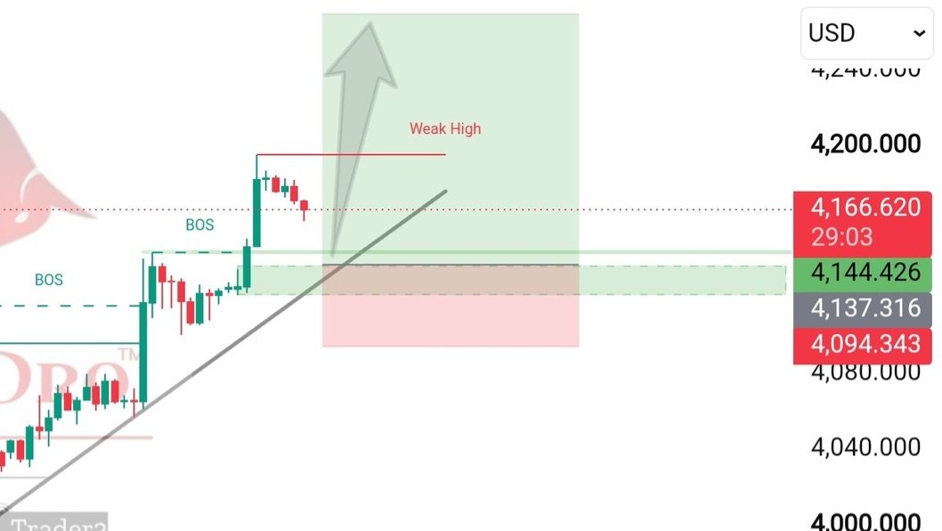 Trend PLaner FX