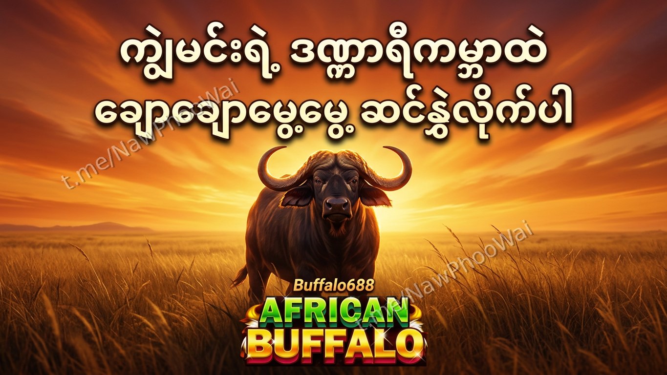 ⏰ ကျွဲဂိမ်း - နော်ဖူးဝေ 24 နာရီဝန်ဆောင်မှု