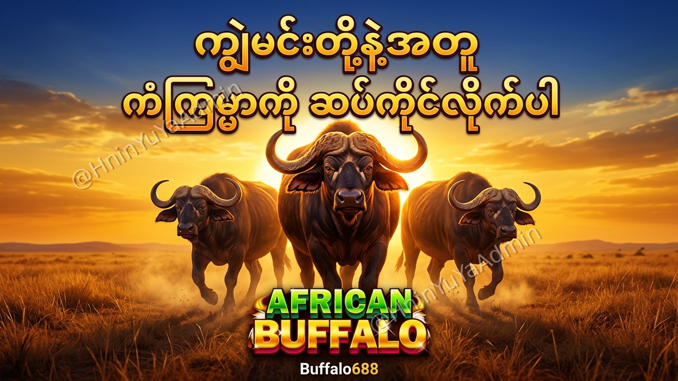 ကျွဲဂိမ်းအစစ် Buffalo688 ၊ကျွဲဘုရင် ၊ရှမ်းကိုးမီး၊ဘူကြီး