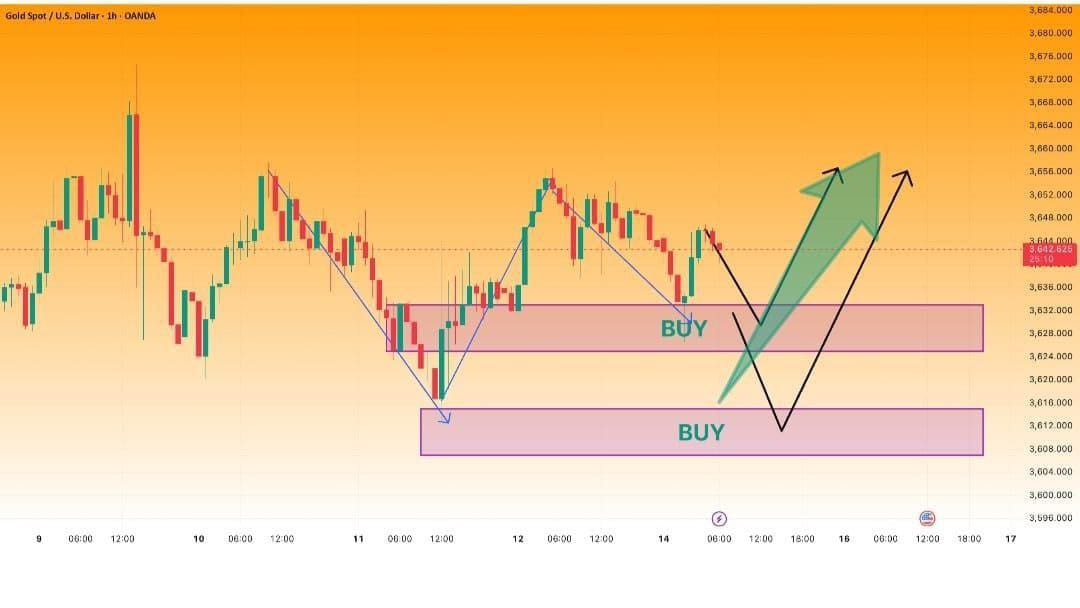 TRADING JOURNEY HUB