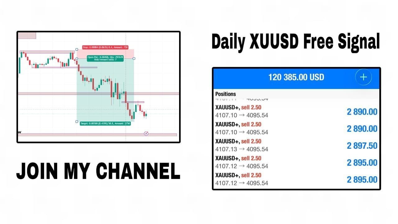 XAUUSD GOLD TRADER