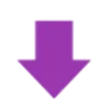 🟣