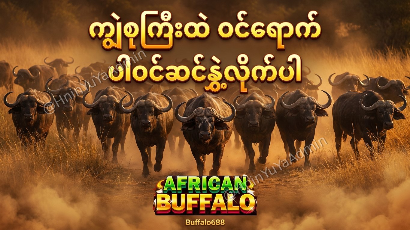 ကျွဲဂိမ်းအစစ် Buffalo688 ၊ကျွဲဘုရင် ၊ရှမ်းကိုးမီး၊ဘူကြီး
