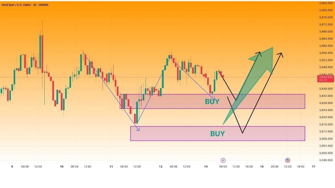 ๐ฆ๐ช PROFIT PLUS ๐ฆ๐ช