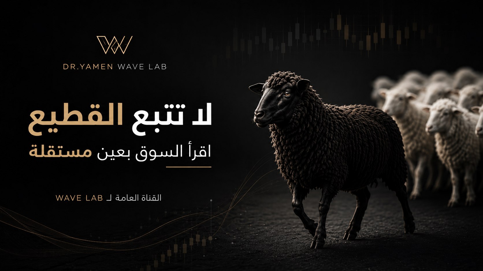 WAVE LAB