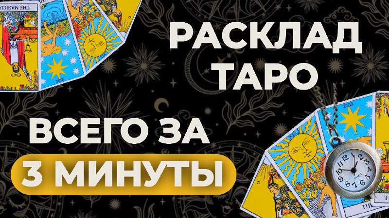 Карты, Джен и 2 кота