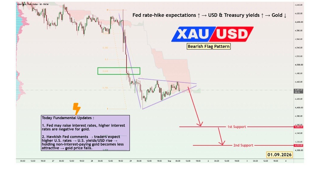 FOREX META BEAR