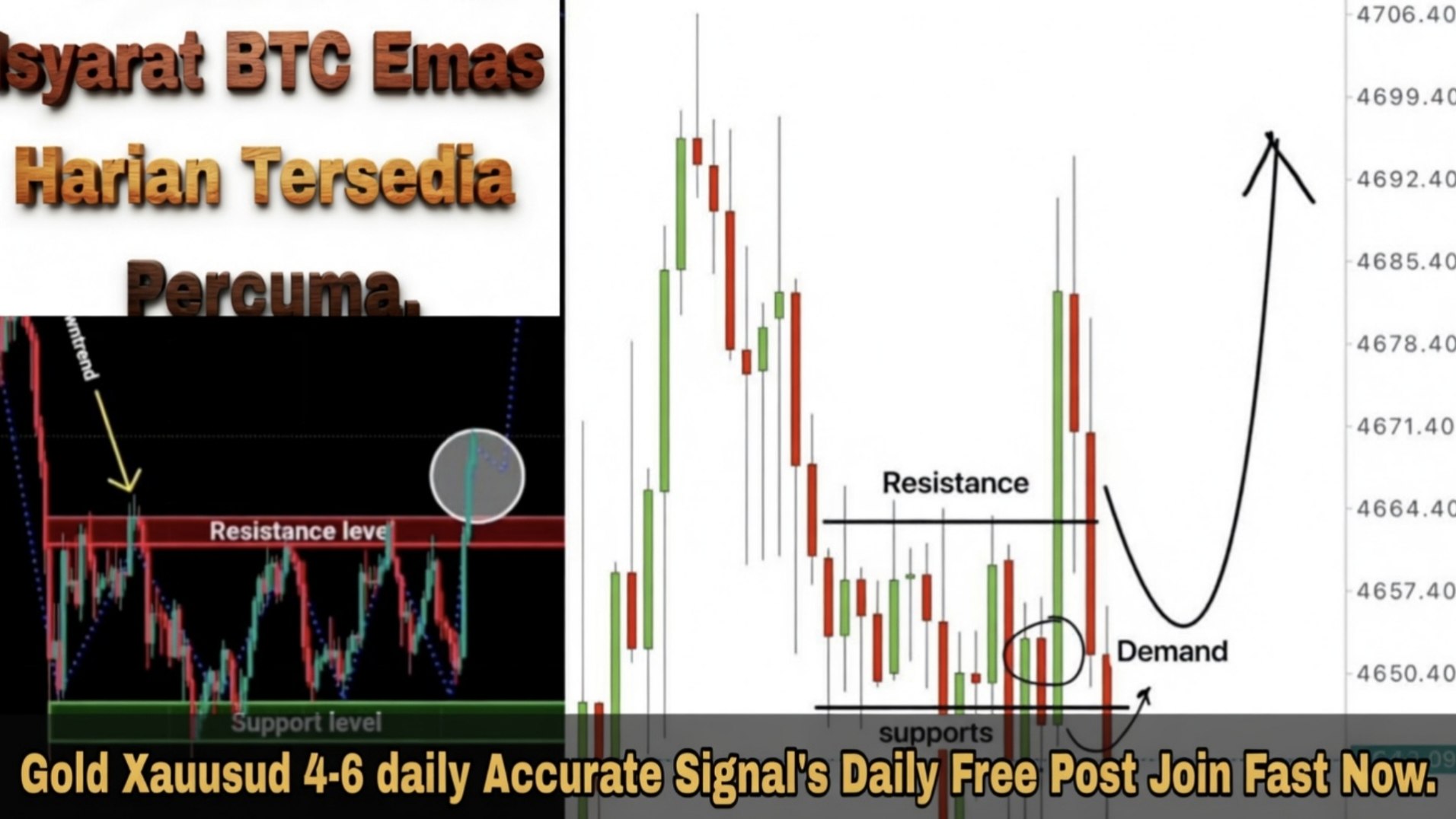 Forex Trading World