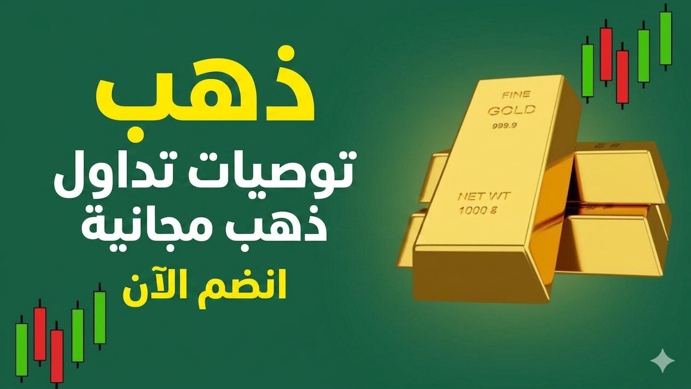 JAVED FINANCE HUB
