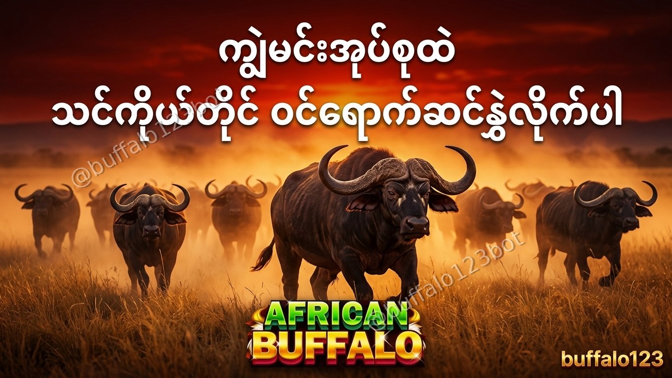 ကျွဲဂိမ်း Buffalo123 Official