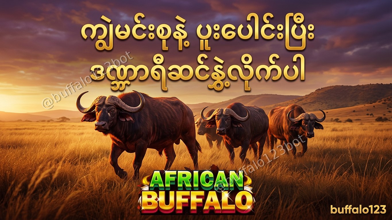 ကျွဲဂိမ်း Buffalo123 Official