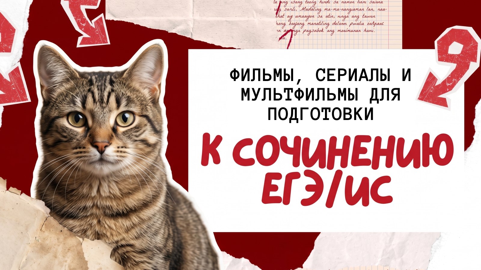 русский и котики / ЕГЭ 2027 / стадикэтс рик