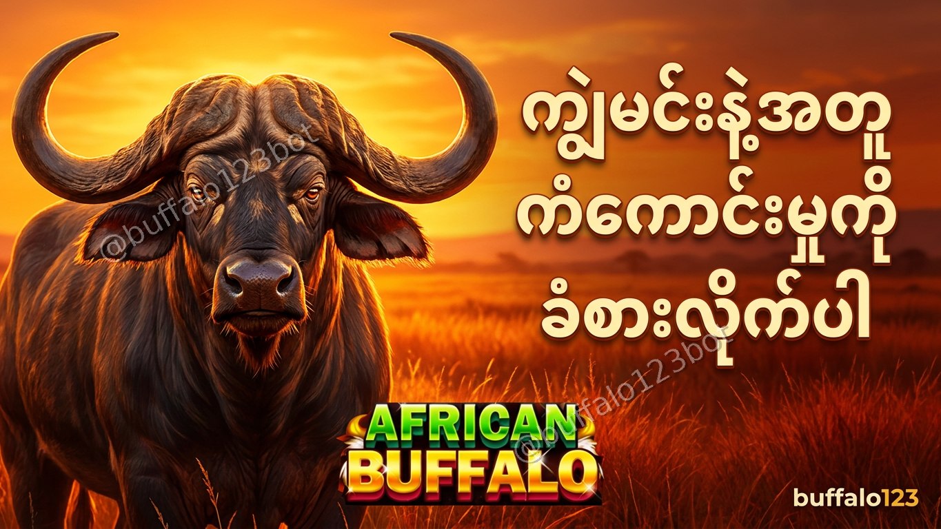 ကျွဲဂိမ်း Buffalo123 Official