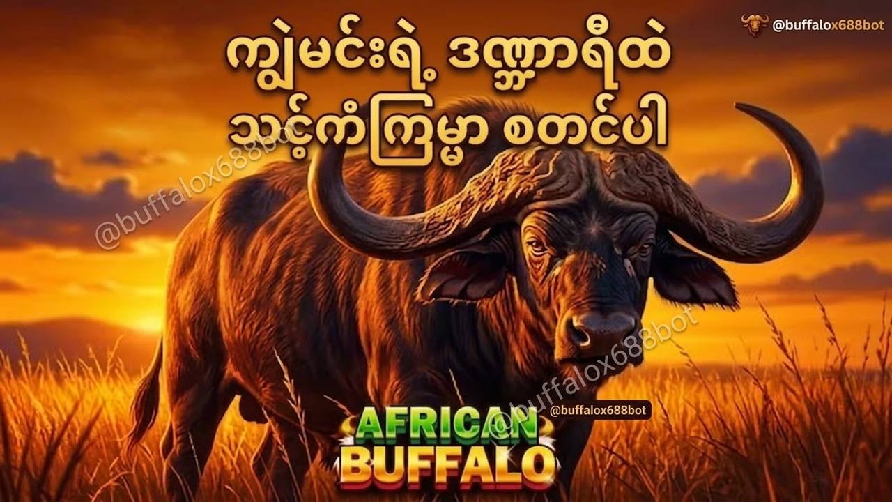 ကျွဲဂိမ်း Buffalo123 Official