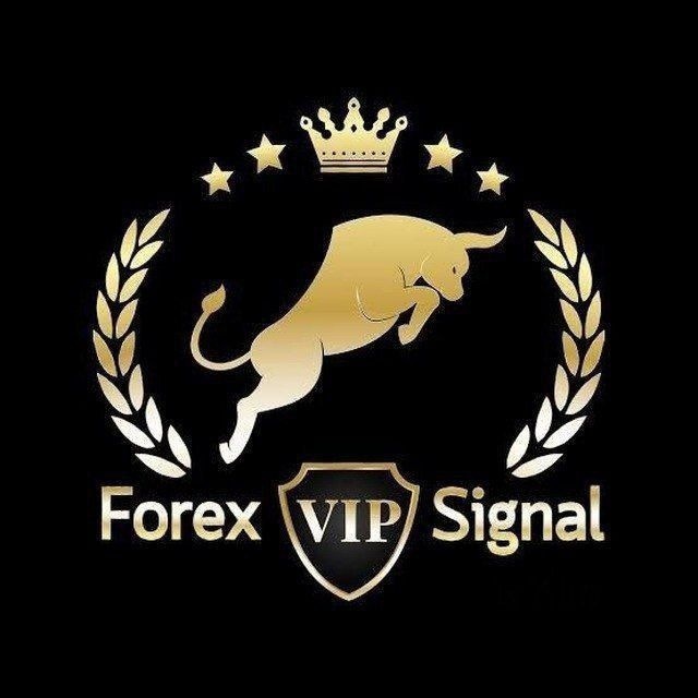 @mxtrader53