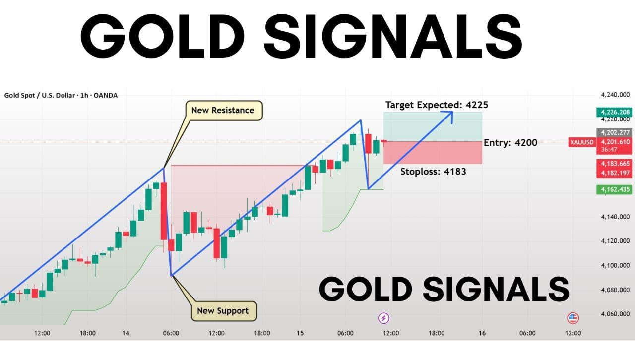 FOREX MASTER