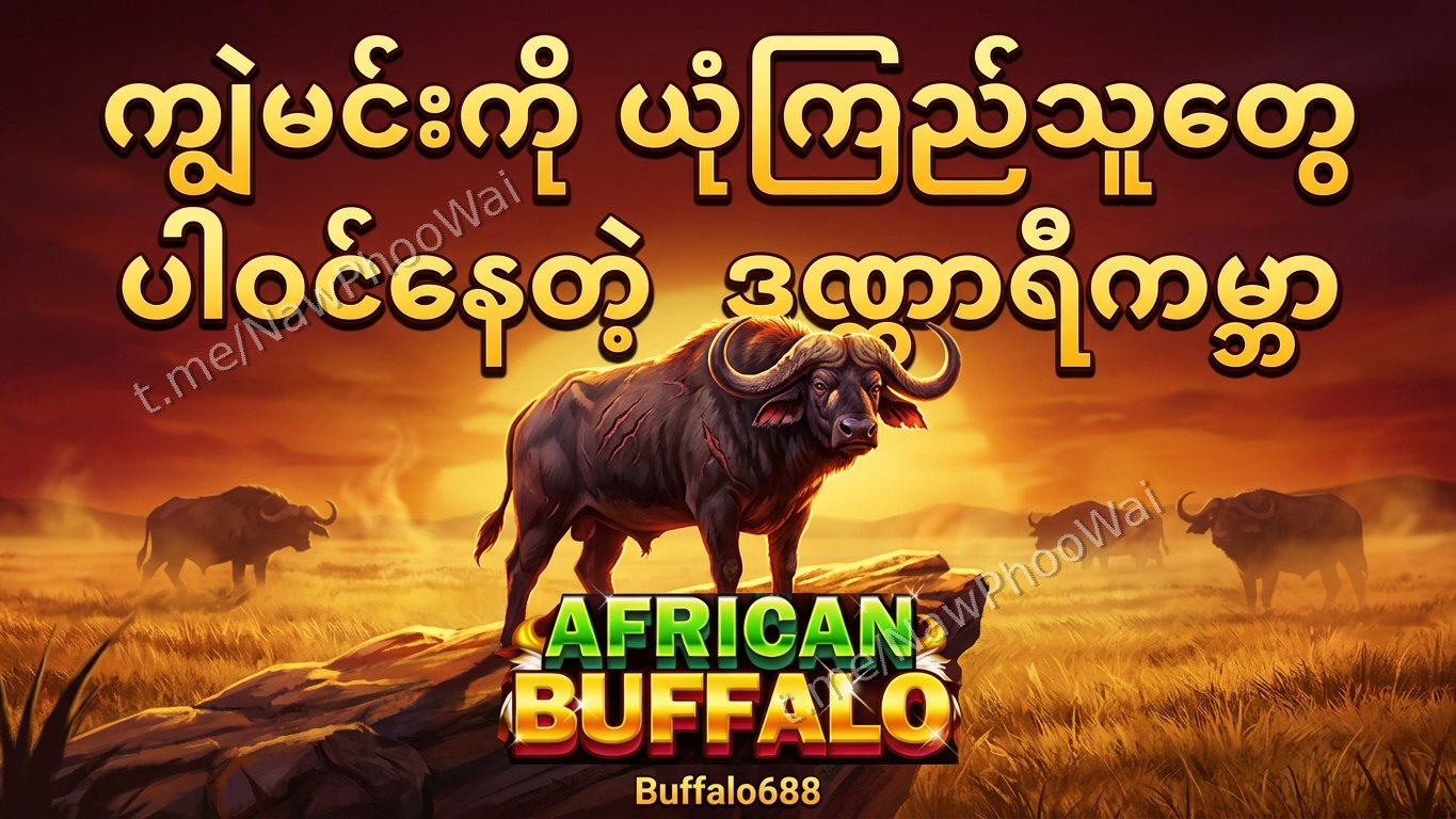 ⏰ ကျွဲဂိမ်း - နော်ဖူးဝေ 24 နာရီဝန်ဆောင်မှု