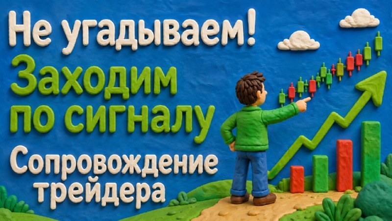 Владислав М.
