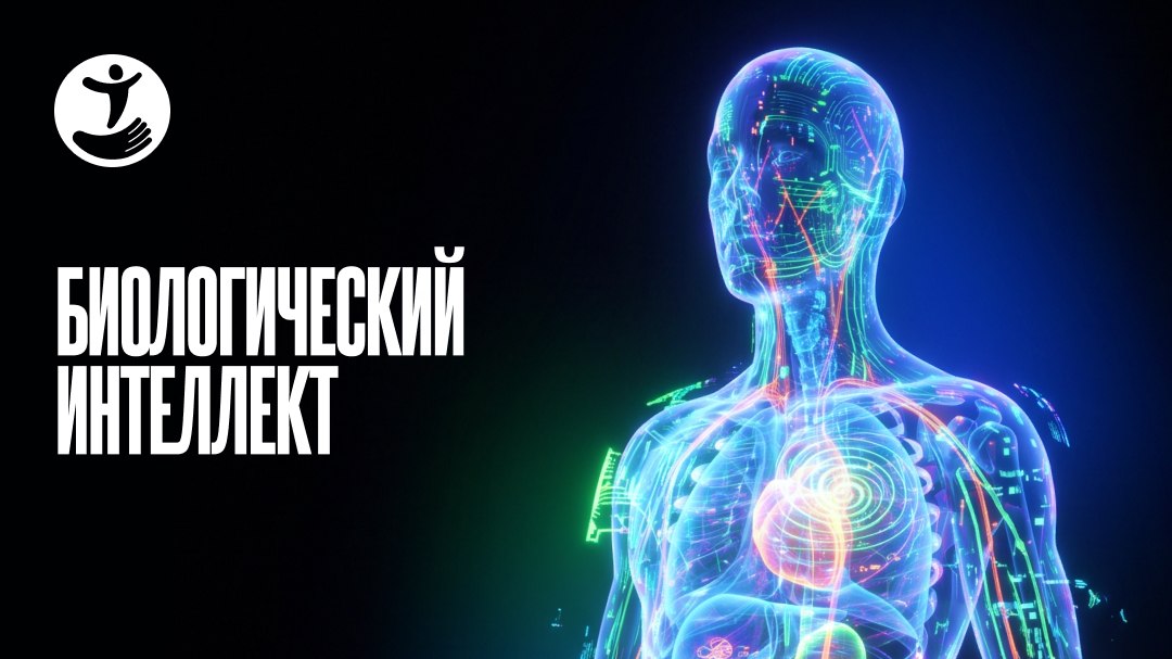 Бесплатный вебинар
