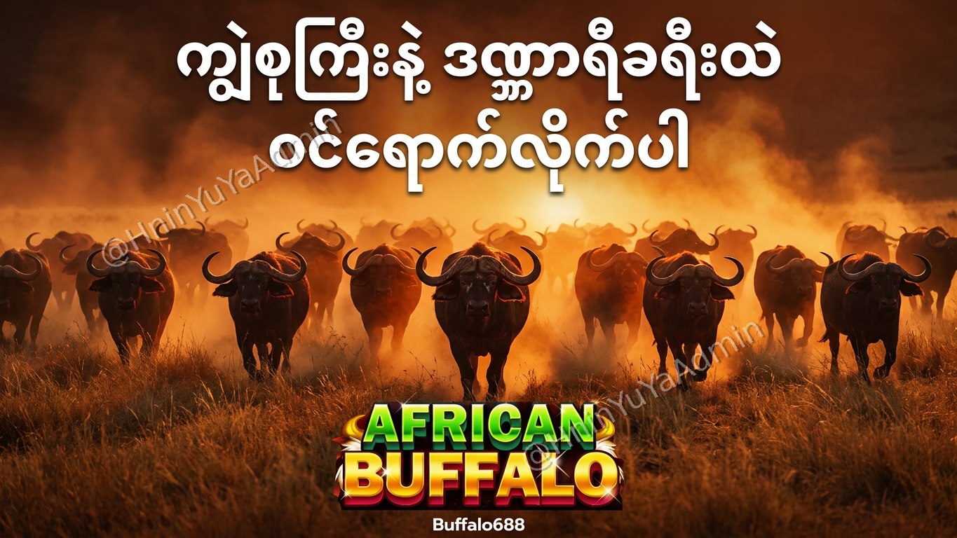 ကျွဲဂိမ်းအစစ် Buffalo688 ၊ကျွဲဘုရင် ၊ရှမ်းကိုးမီး၊ဘူကြီး