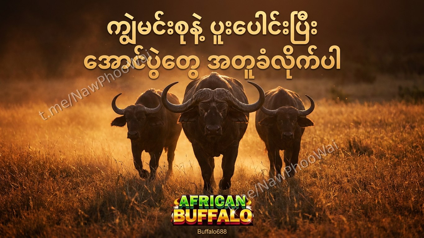 ⏰ ကျွဲဂိမ်း - နော်ဖူးဝေ 24 နာရီဝန်ဆောင်မှု