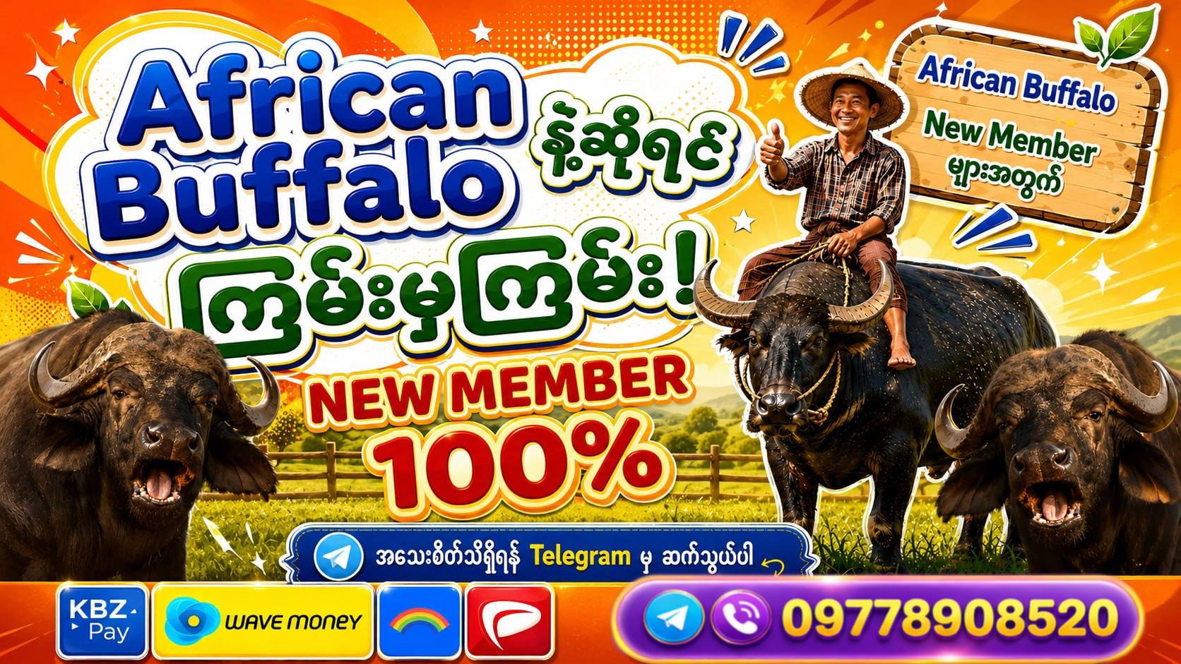 American Buffalo 4