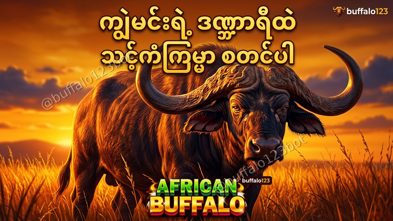 ကျွဲဂိမ်း Buffalo123 Official