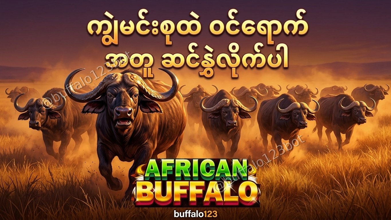 ကျွဲဂိမ်း Buffalo123 Official