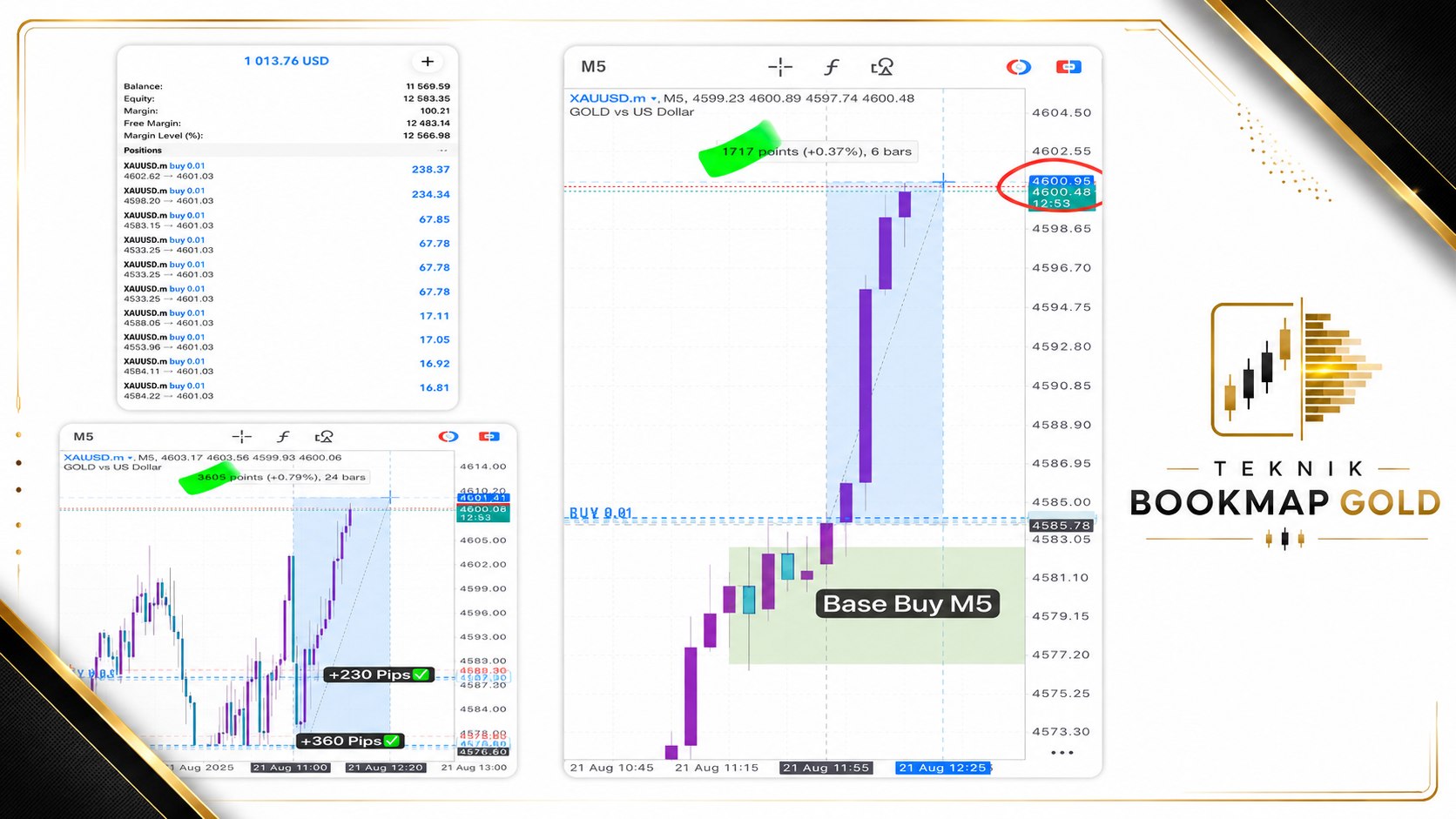 Teknik BookMap Gold