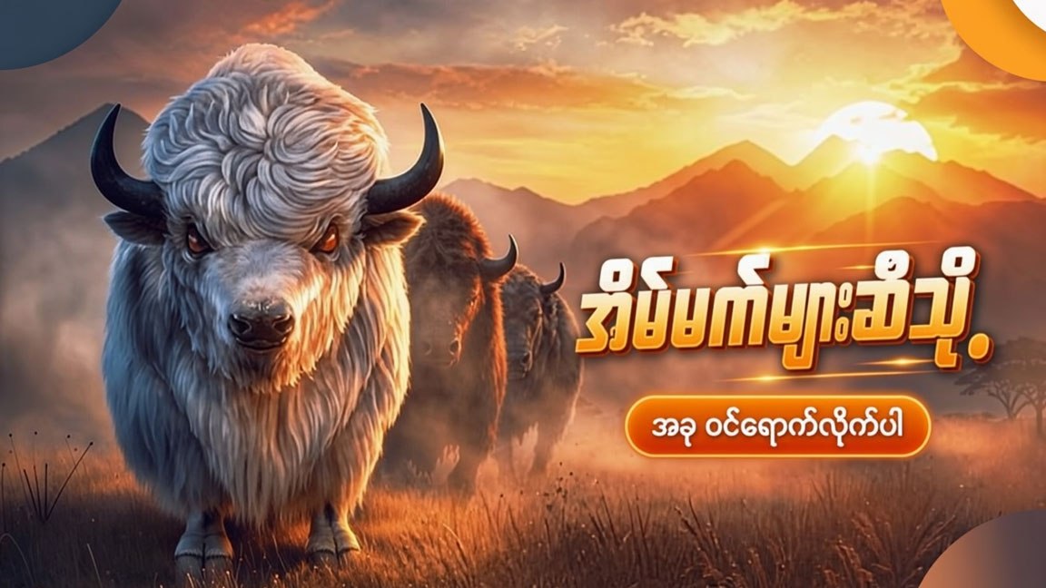 Burma African Buffalo