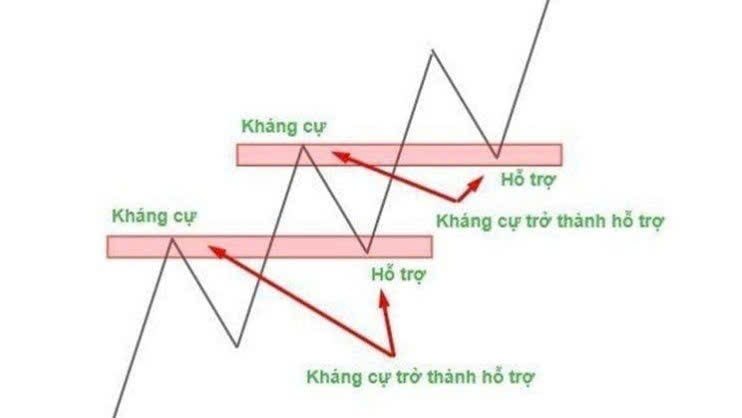 Rùa VÀNG -